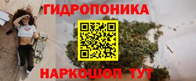 ECSTASY Гусев