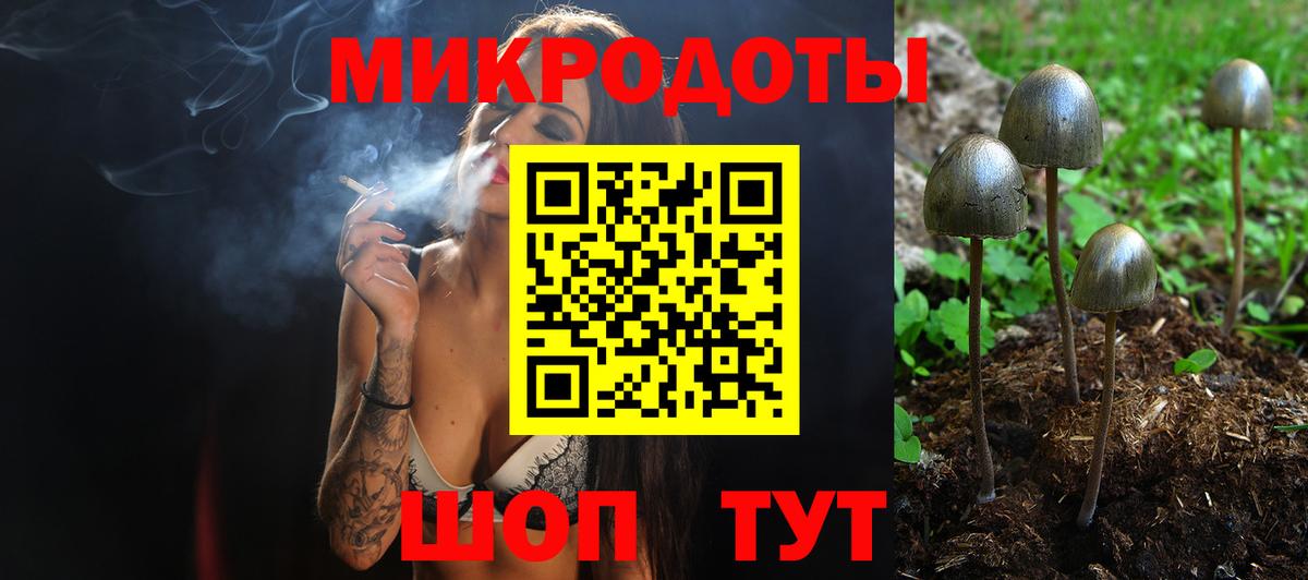 Чехов  Галлюциногенные грибы Cubensis  Псилоцибиновые грибы GOLDEN TEACHER  Вход с VPN 