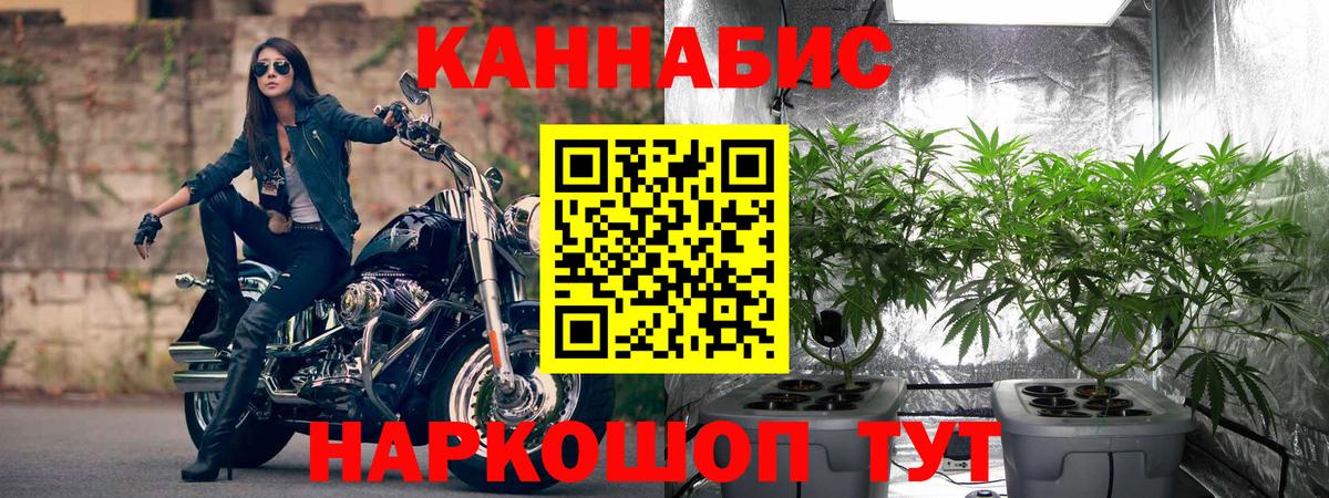 Чехов  Шишки марихуана тримм  Вход с VPN  МАРИХУАНА LSD WEED  Марихуана LSD WEED 